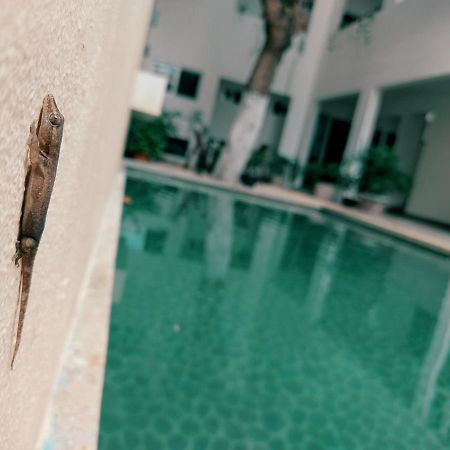 Cozy Studios Zazil-Ha Playa del Carmen Buitenkant foto