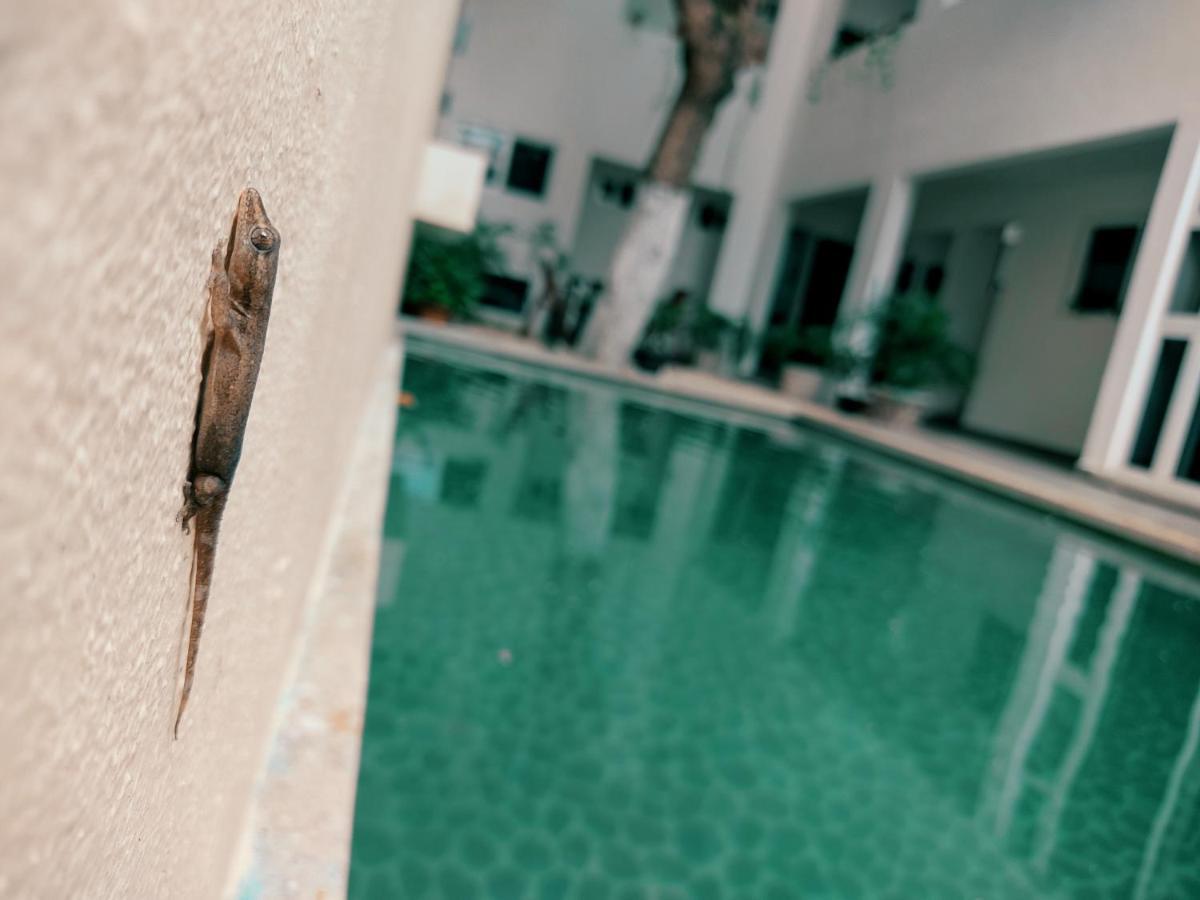 Cozy Studios Zazil-Ha Playa del Carmen Buitenkant foto