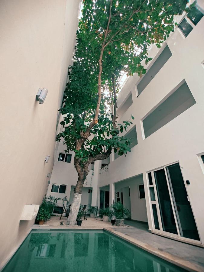 Cozy Studios Zazil-Ha Playa del Carmen Buitenkant foto